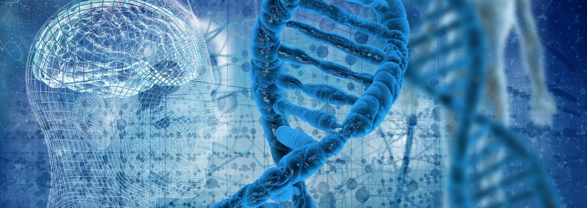 Twin DNA Tests Digital illustration of a human head made of wireframe next to a DNA double helix, symbolizing the connection between genetics and artificial intelligence.