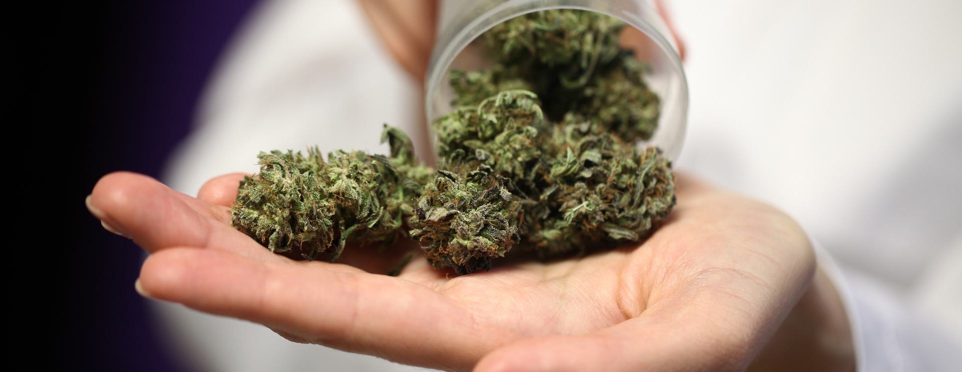K2 Spice Synthetic Weed Drug Test (Standard) Hand holding K2 buds spilling from a container.