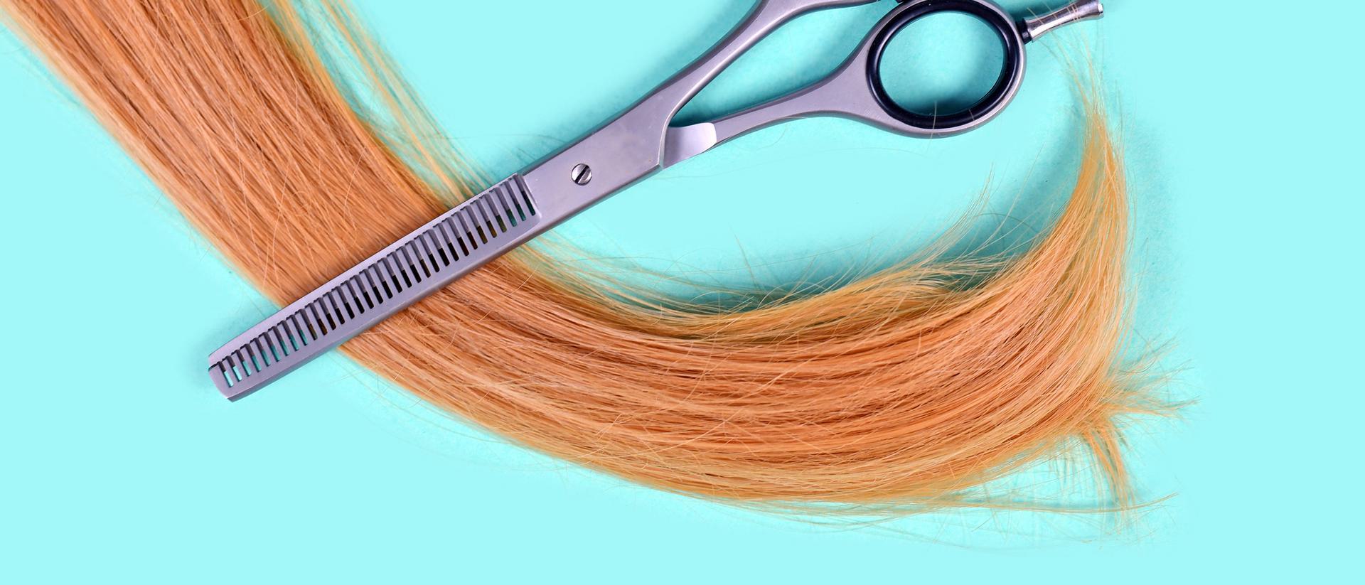 Scissors placed on a lock of light brown hair against a turquoise background.