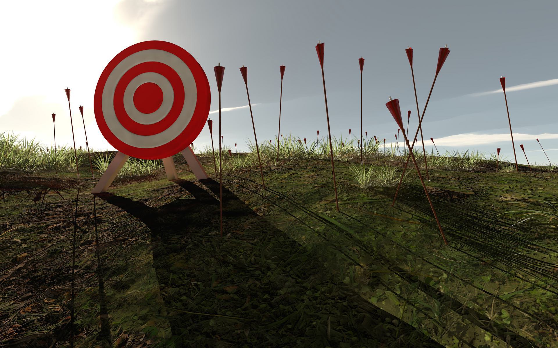 Red and white target on grassy field with arrows scattered around.