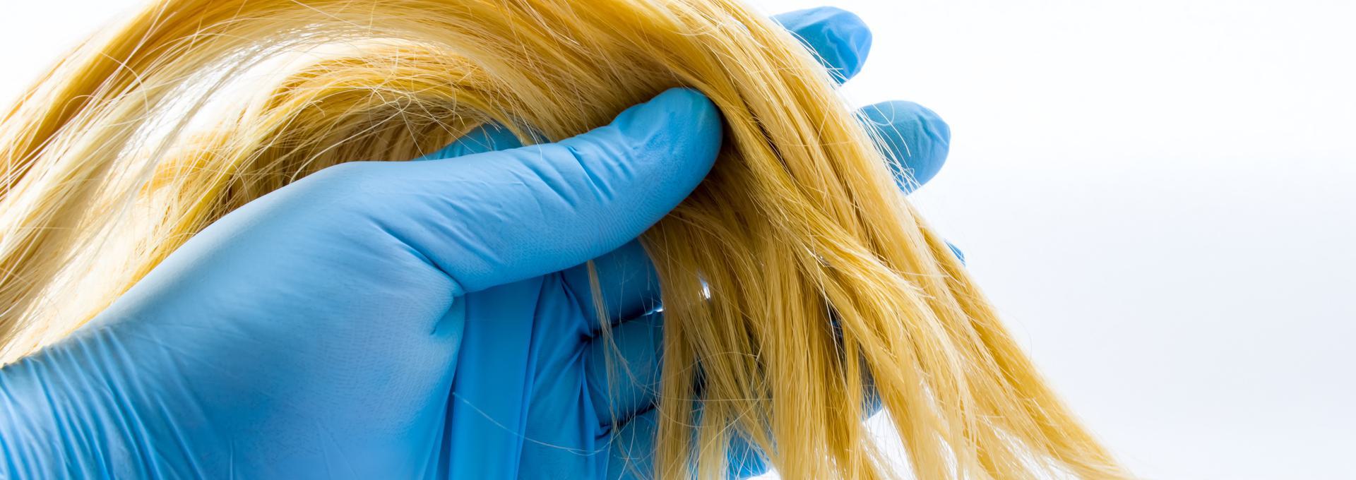 7 Panel Hair Drug Tests Blue-gloved hand holding a bundle of blonde hair against a white background.