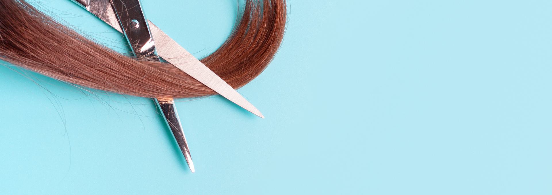 8 Panel Hair Follicle Test Close-up of scissors cutting a lock of brown hair on a light blue background.
